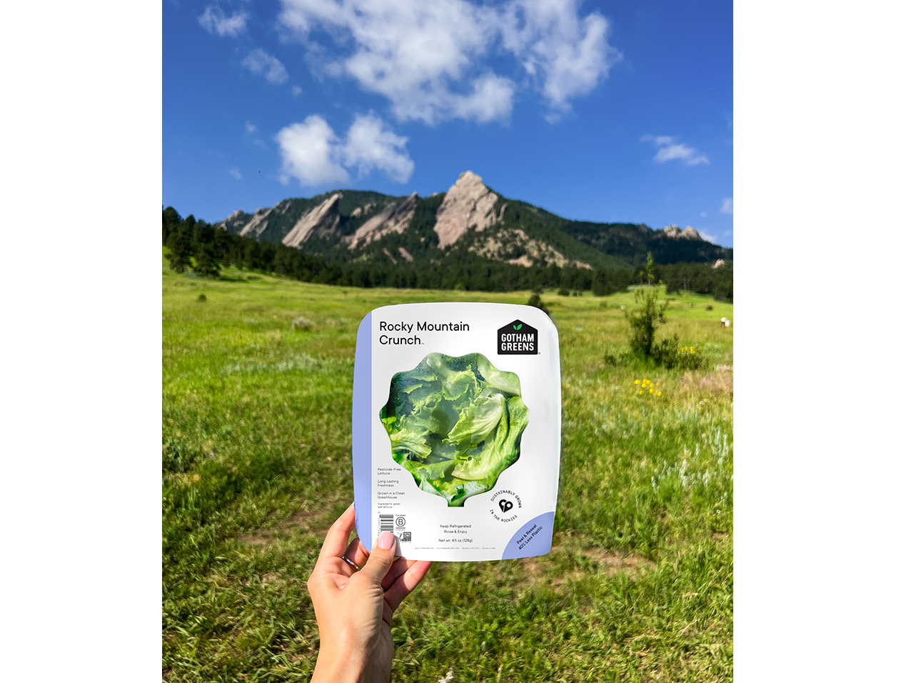 ‘CEA is here to stay,’ says Gotham Greens CEO The Packer